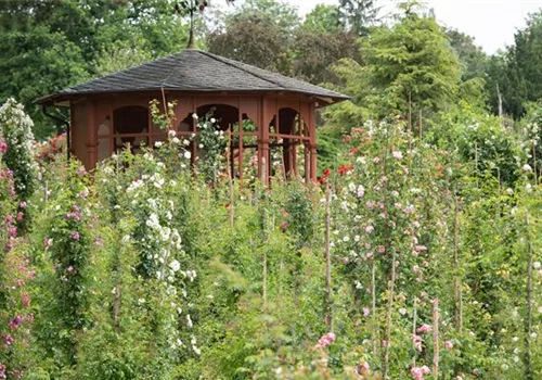 Einen Pavillon selbst bauen?