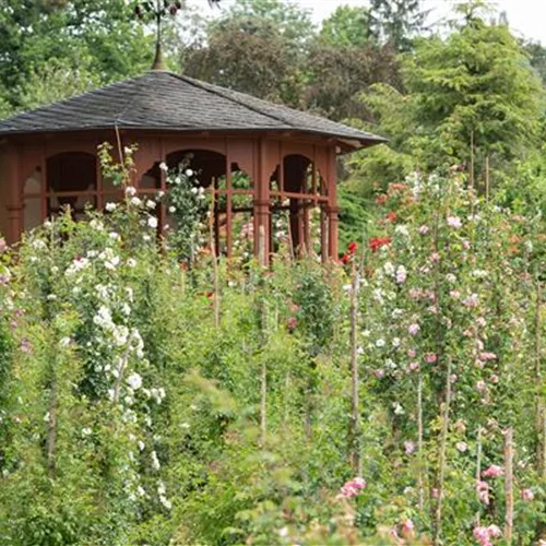 Einen Pavillon selbst bauen?