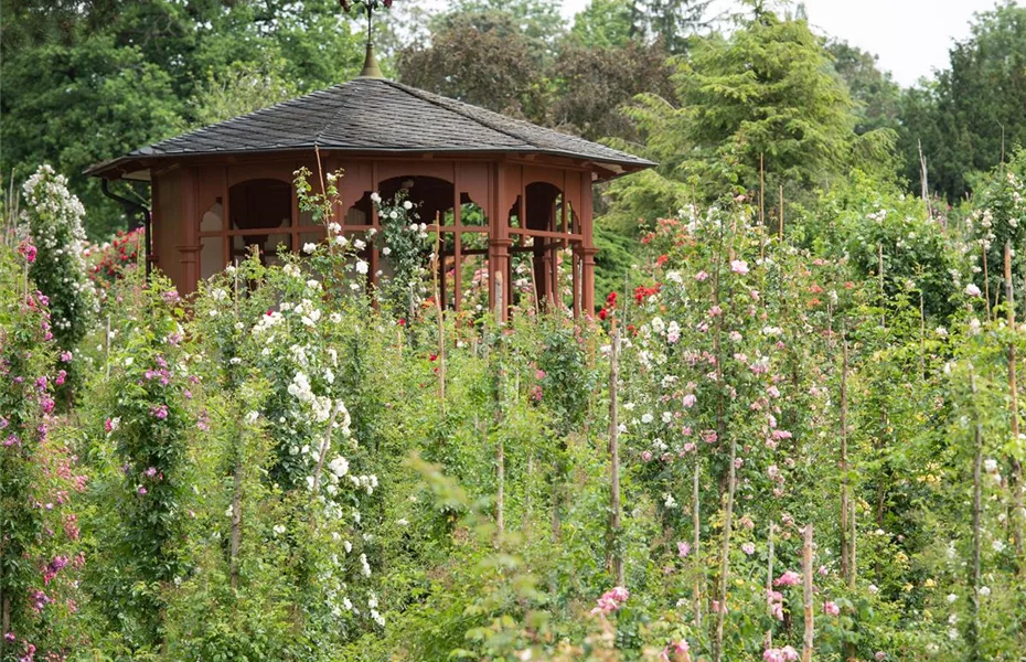 Einen Pavillon selbst bauen?