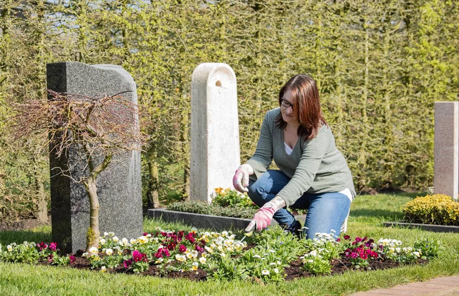 Gräber & die Jahreszeiten: anmutig das ganze Jahr