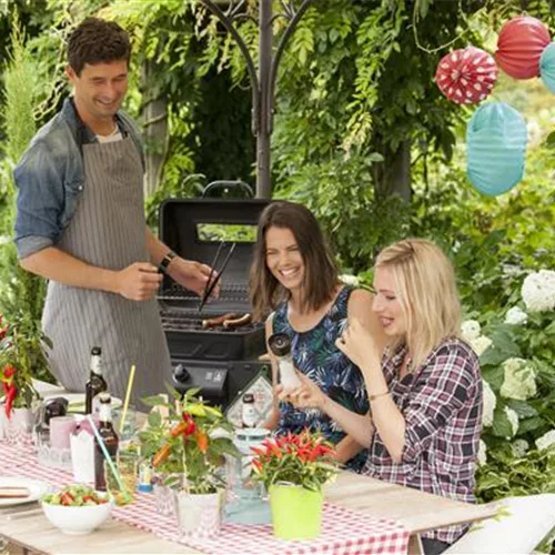 Eigene Outdoorküche–kochen unter freiem Himmel