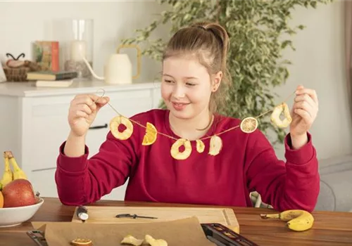 Trockenobstgirlande für hungrige Vögel im Winter