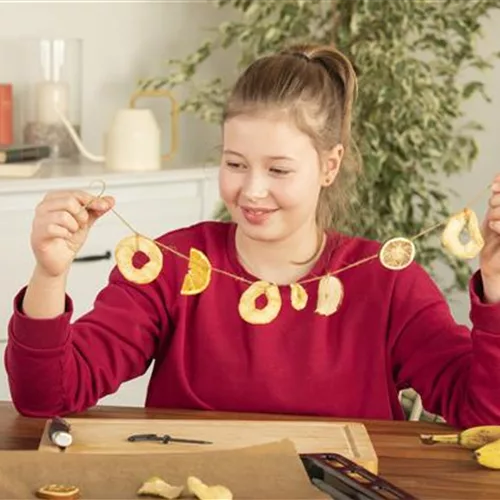 Trockenobstgirlande für hungrige Vögel im Winter