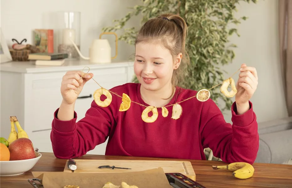 Trockenobstgirlande für hungrige Vögel im Winter