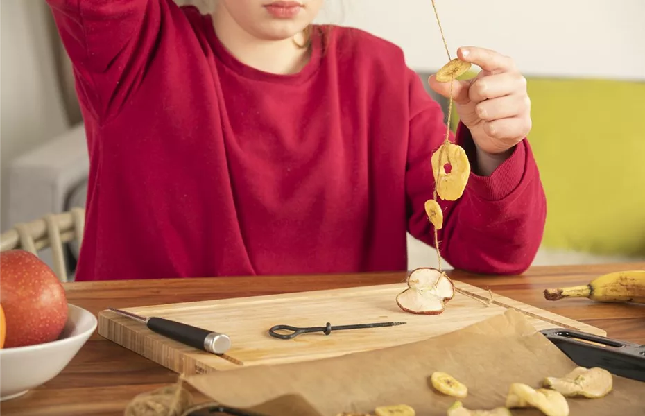 Trockenobstgirlande für hungrige Vögel im Winter