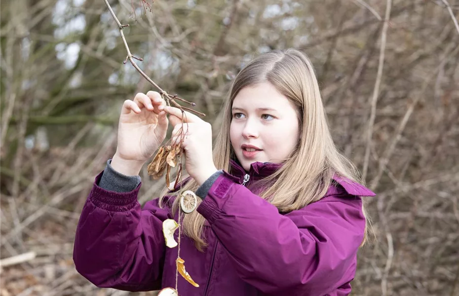 Trockenobstgirlande für hungrige Vögel im Winter