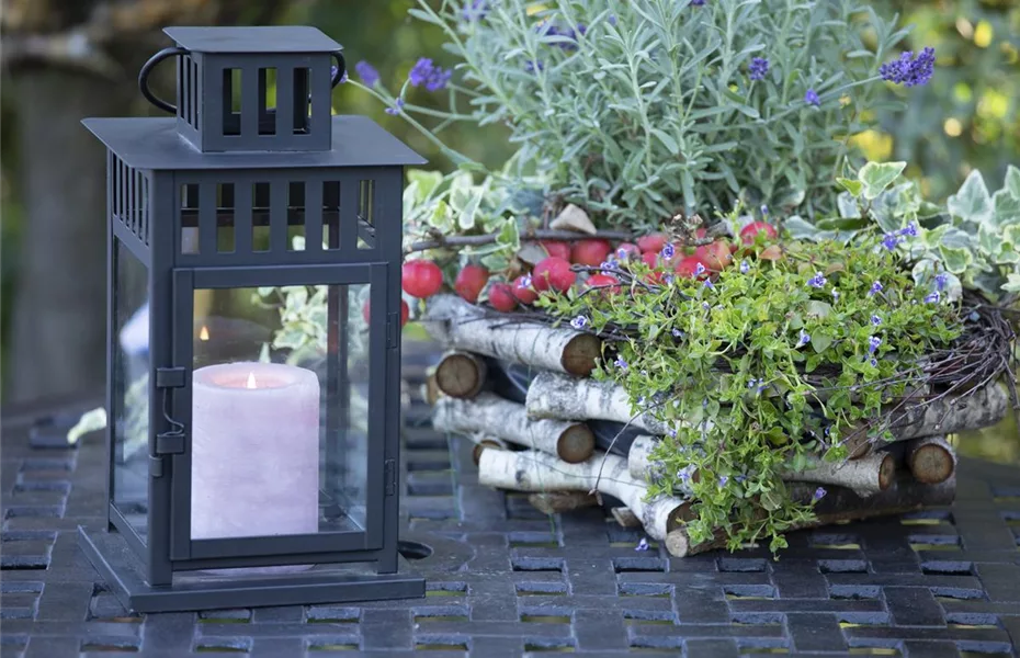 Mit Lichtquellen im Garten stilvolle Akzente setzen