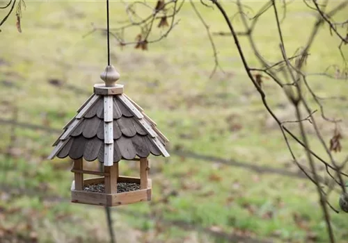 Vogelhäuser - Futterstelle für Amsel & Co.