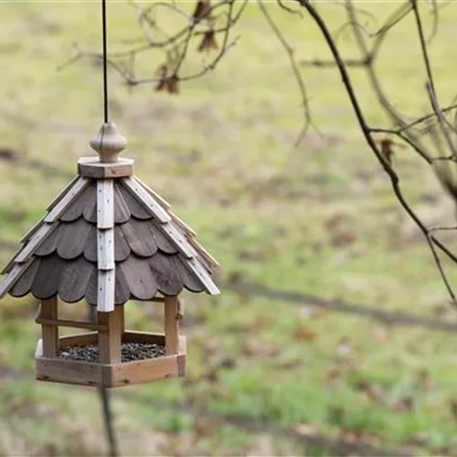 Vogelhäuser - Futterstelle für Amsel & Co.