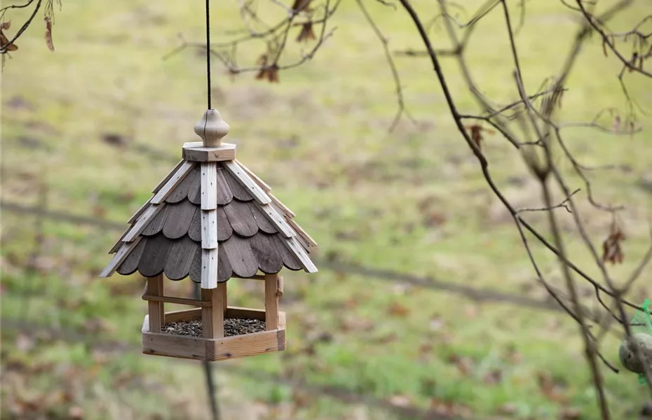 Vogelhäuser - Futterstelle für Amsel & Co.