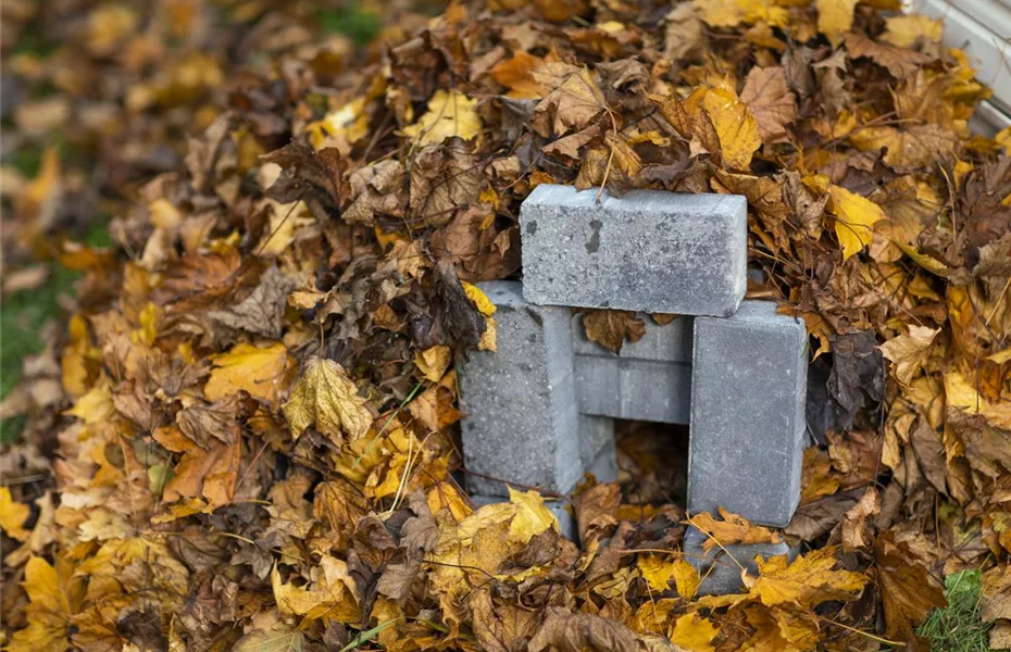 Das Igelhaus im Garten: Wohnst du noch?