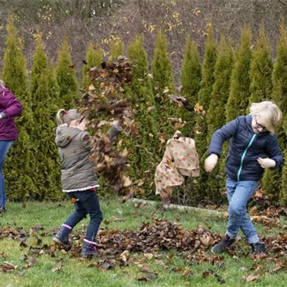 Winterfester Garten – Das ist alles zu erledigen