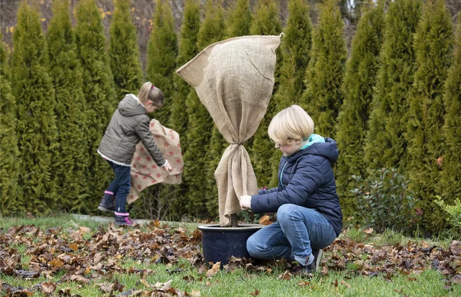 Winterfester Garten – Das ist alles zu erledigen