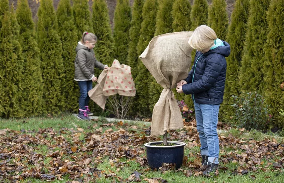 Gartenarbeit – so kann der Schnee kommen