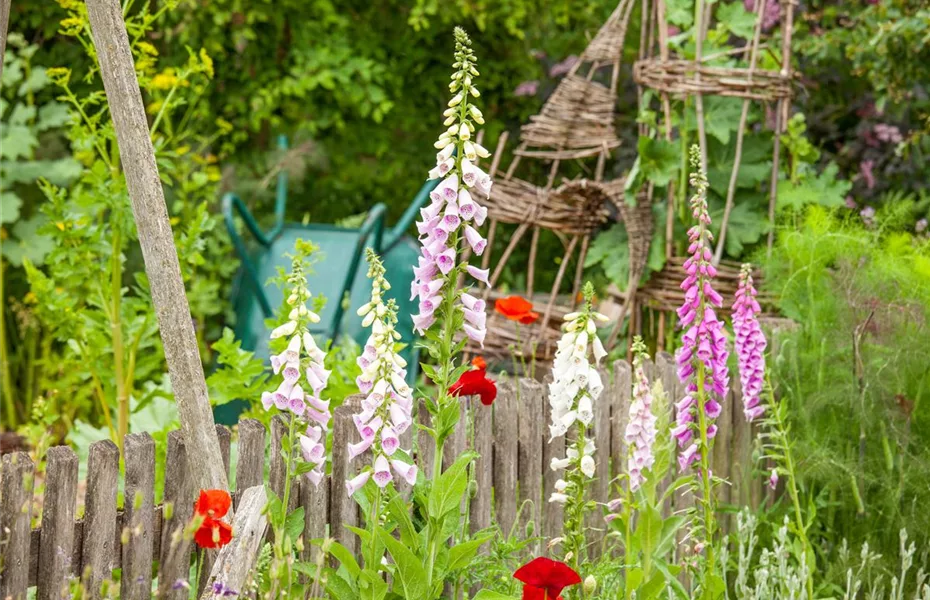 Naturgarten – herrlicher Ausgleich zum Arbeitsalltag