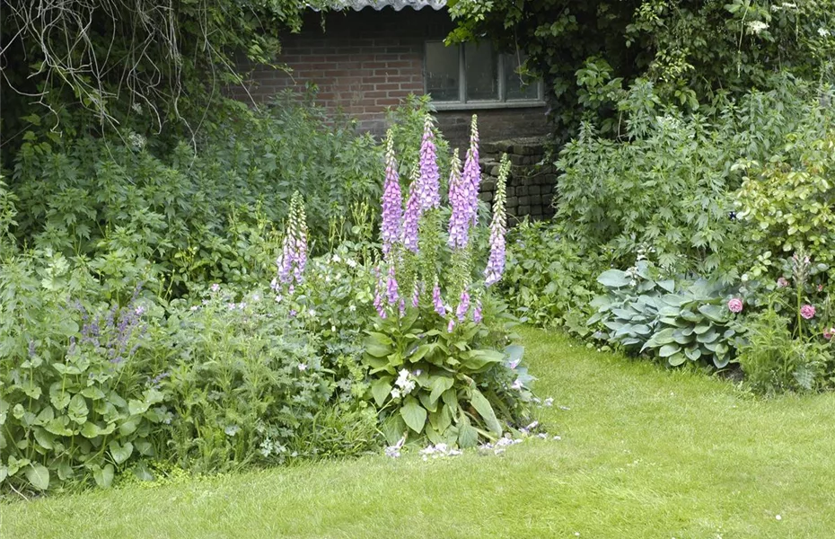 Naturgarten – herrlicher Ausgleich zum Arbeitsalltag