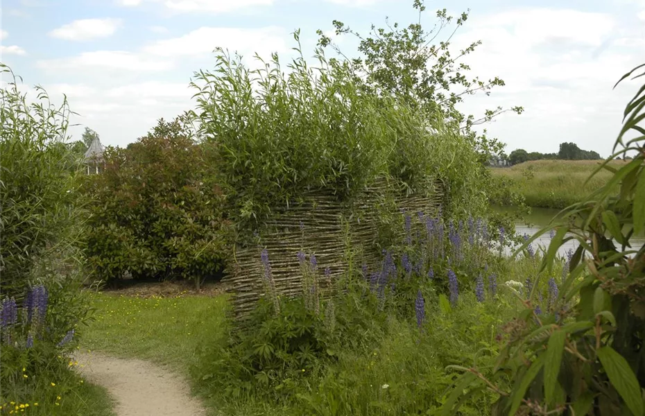 Naturgarten – herrlicher Ausgleich zum Arbeitsalltag