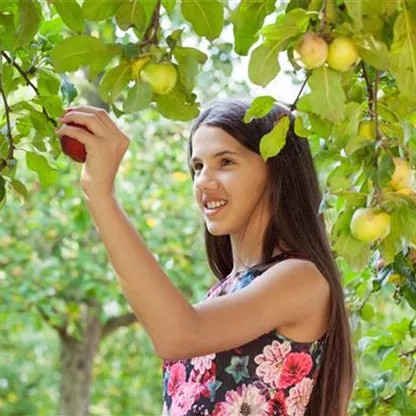 Bäume & Sträucher mit Charme – perfekter Garten