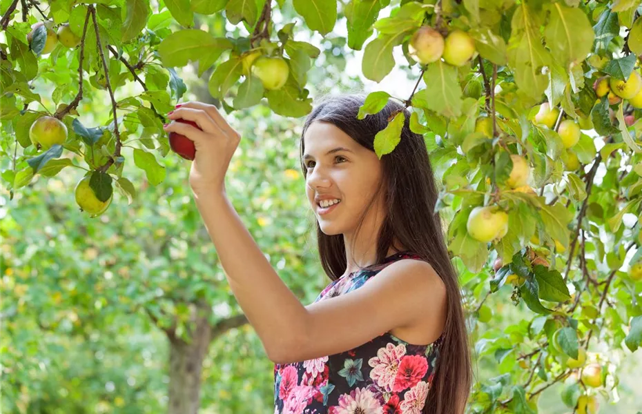 Bäume & Sträucher mit Charme – perfekter Garten