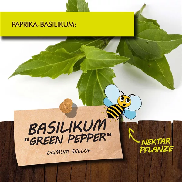 Bio Basilikum 'Green Pepper'