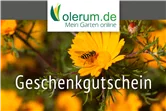 Gutschein Online