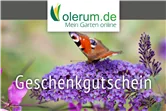 Gutschein Online