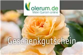 Gutschein Online