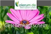 Gutschein Online