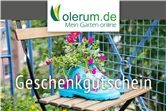 Gutschein Online