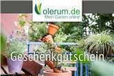 Gutschein Online