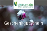 Gutschein Online