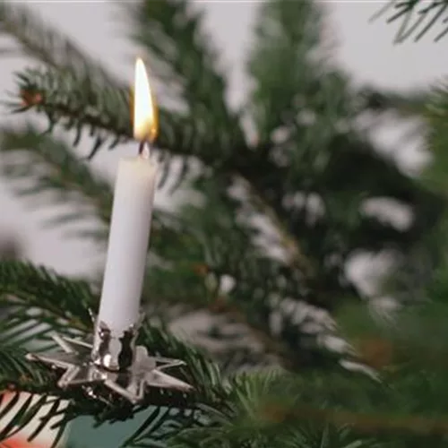 Einen Weihnachtsbaum brandsicher schmücken