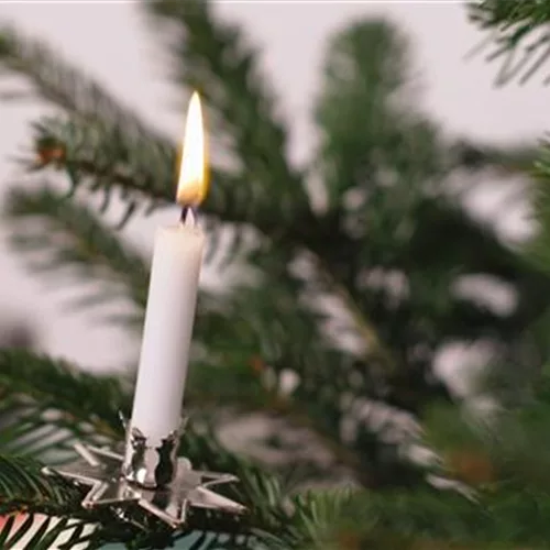 Sicherheit bei Weihnachtsbaumkerzen