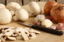 Champignon weiß Fertigsubstrat groß