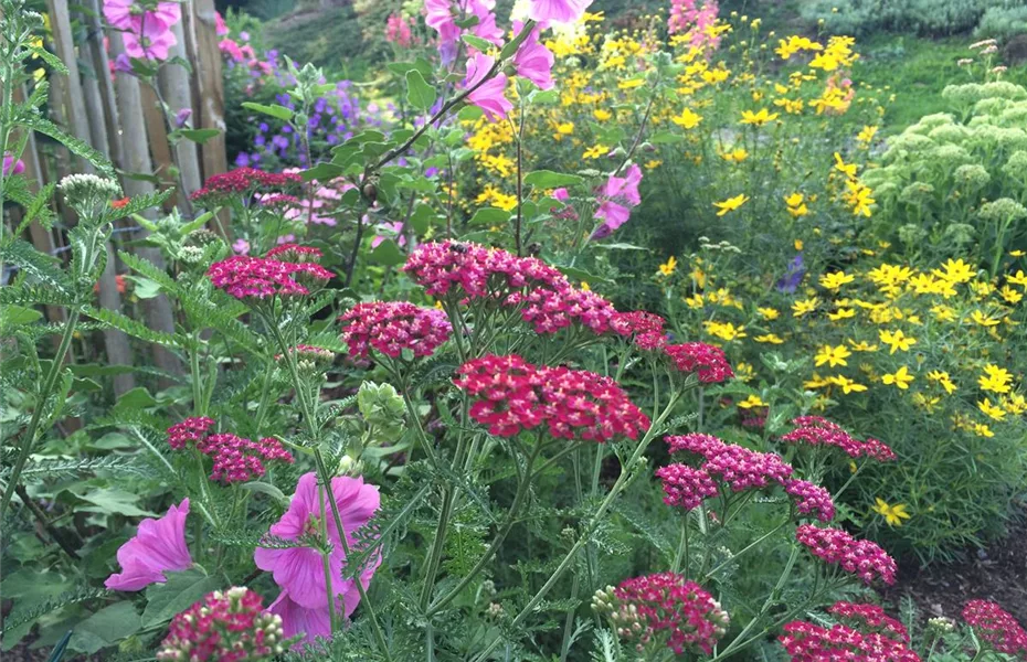 Pflanzzeit & Neubeginn im Garten