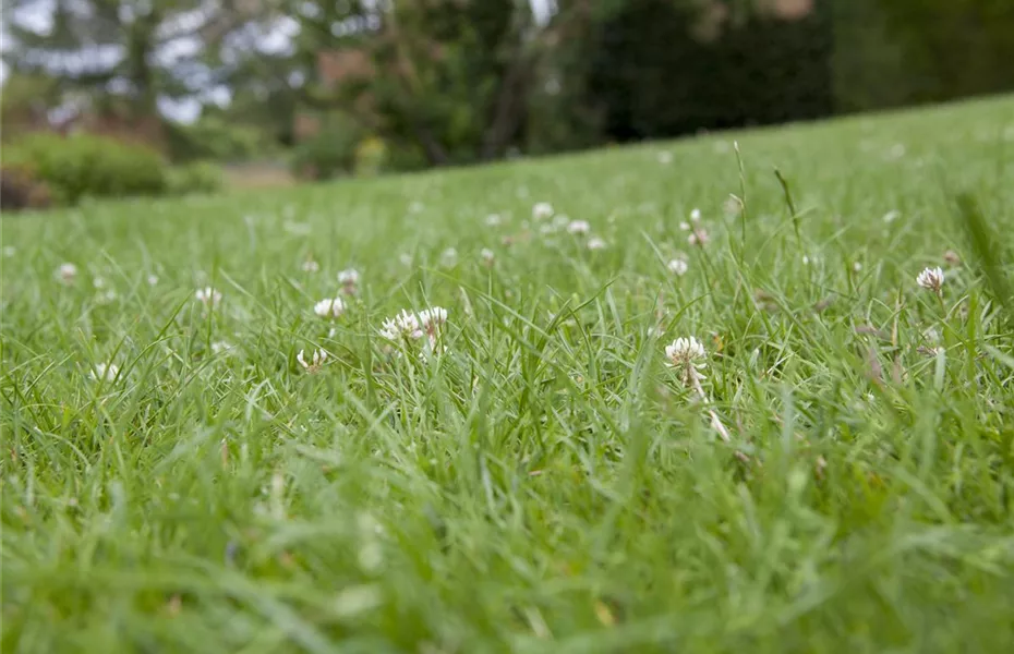 Pflanzzeit & Neubeginn im Garten