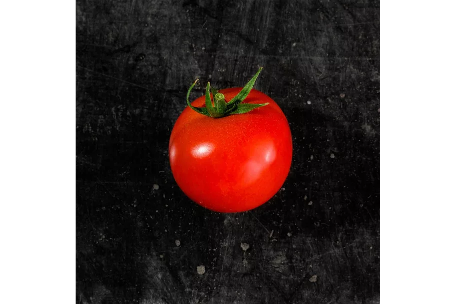 Tomate 'Picolino' 12 cm Topf