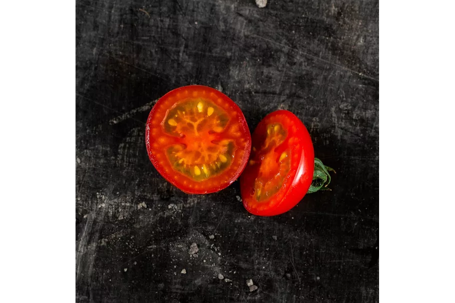 Tomate 'Picolino' 12 cm Topf