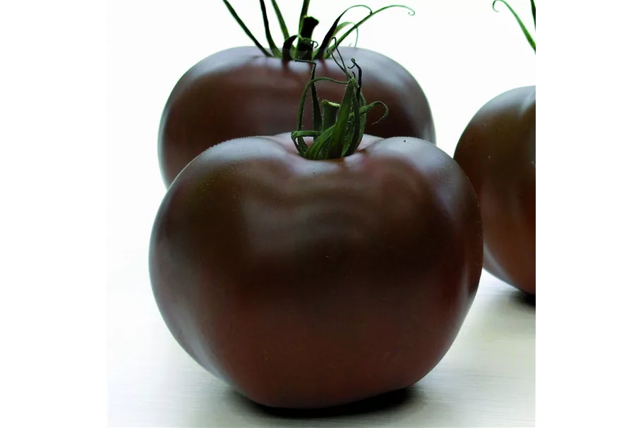 Schokoladen-Tomate 12 cm Topf