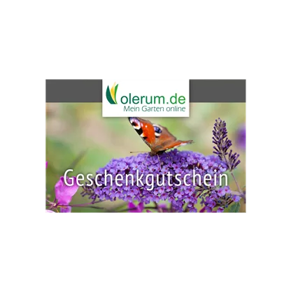 Am Muttertag sagen Blumen mehr als Worte