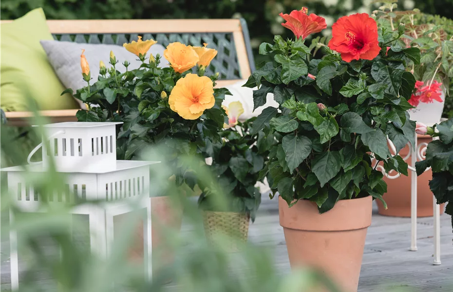 Terrasse brauchen tolle Sitzplätze zum Wohlfühlen