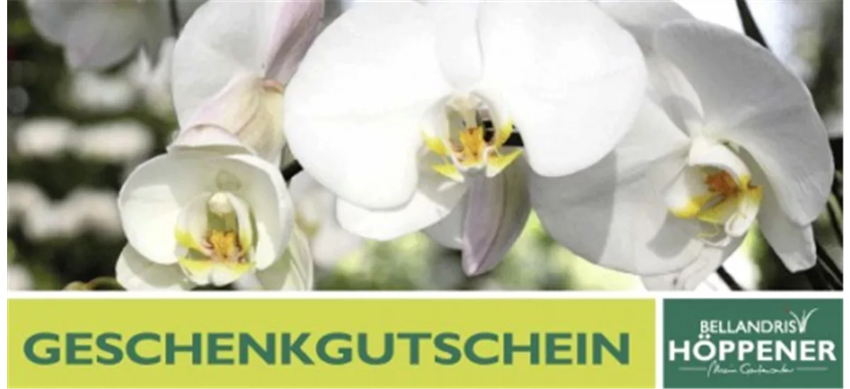 Gutschein Gartencenter Höppener 100 €