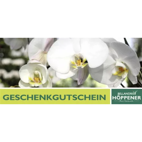 Gutschein Gartencenter Höppener