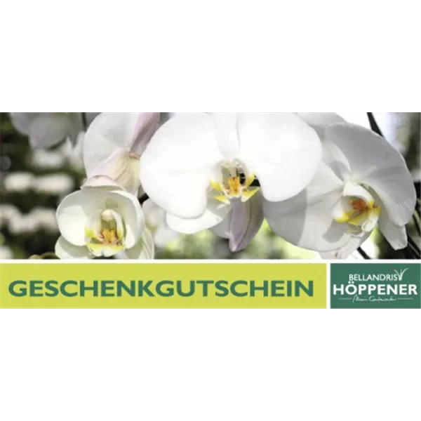 Gutschein Gartencenter Höppener