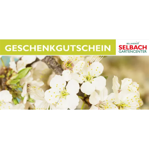 Gutschein Gartencenter Selbach