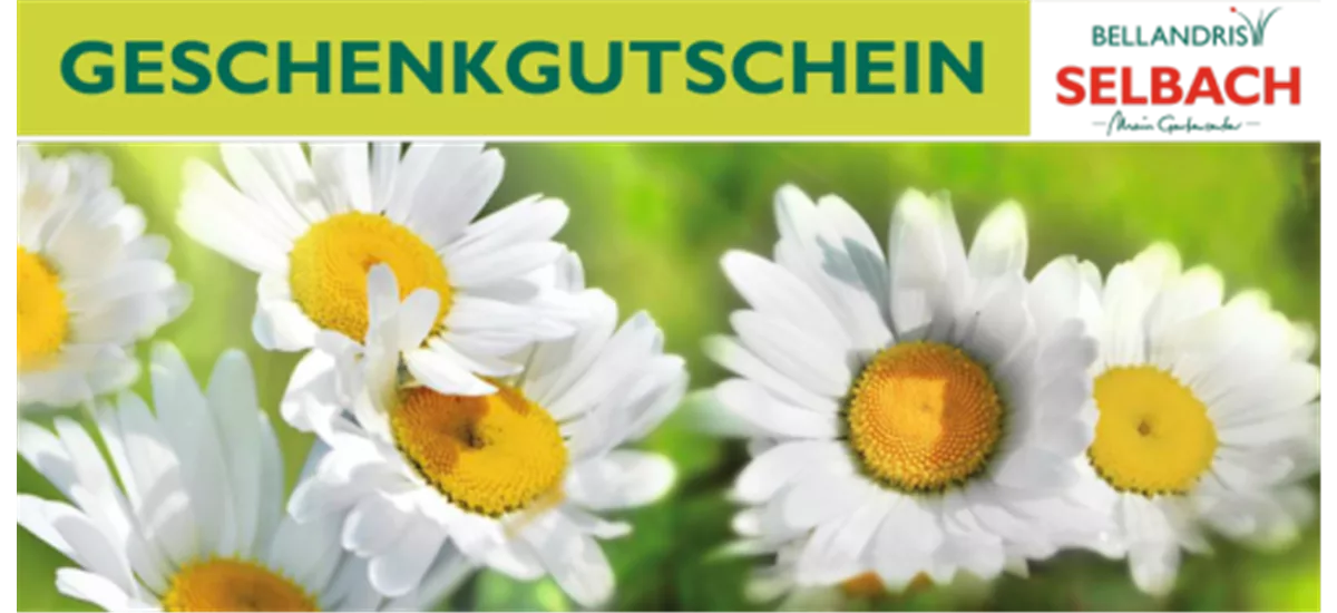 Gutschein Gartencenter Selbach 10 €