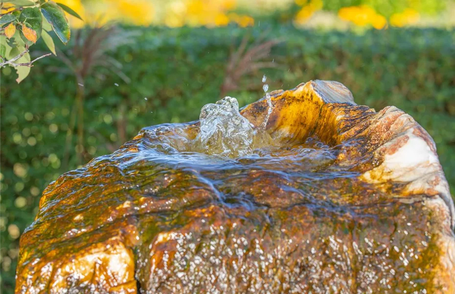 Quelle der Entspannung – Brunnen im Garten 