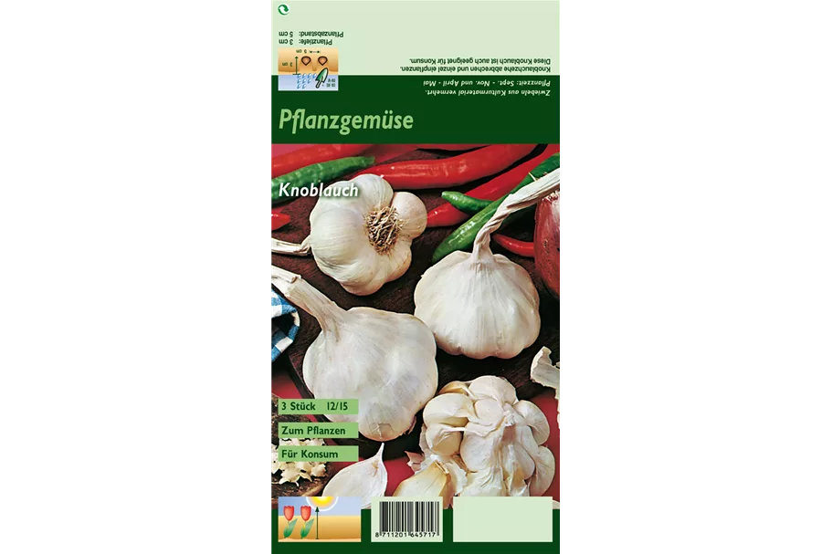 Echter Knoblauch 3 Stück, Größe 12/15