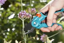 Gardena Gartenschere B/S 815283