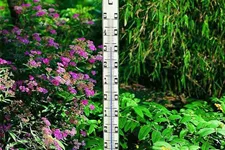 Tfa Dostmann Jumbo-Gartenthermometer 115cm Metall 101772